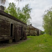 IMG 7047
