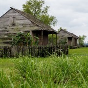 IMG 7053