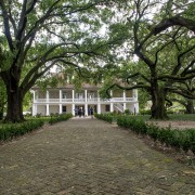 IMG 7066