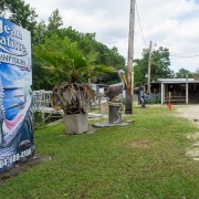 IMG 7074