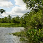 IMG 7168