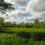IMG 7175