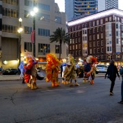 IMG 7207