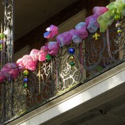IMG 7232