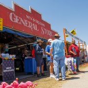 IMG 7271
