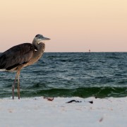 IMG 7440