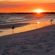 IMG 7473