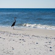 IMG 7498