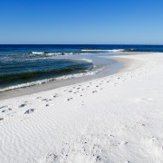 IMG 7503