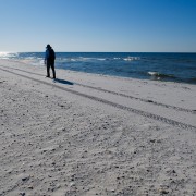 IMG 7506