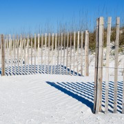 IMG 7508