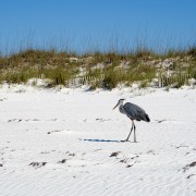IMG 7517