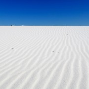 IMG 7525