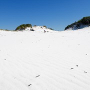 IMG 7537