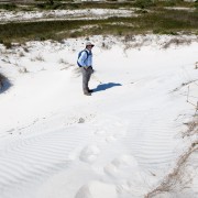 IMG 7548