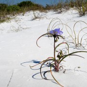 IMG 7550