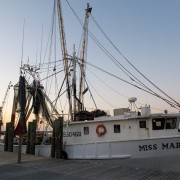 IMG 7636