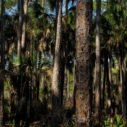 IMG 7657