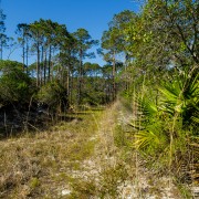IMG 7669