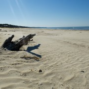 IMG 7678
