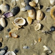 IMG 7685