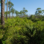IMG 7705