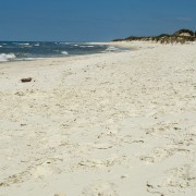 IMG 7726