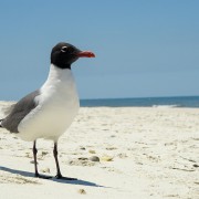 IMG 7740