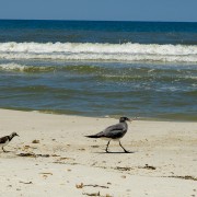 IMG 7743
