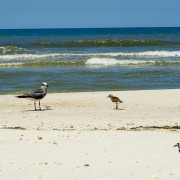 IMG 7744