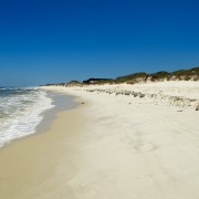 IMG 7754