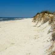 IMG 7759