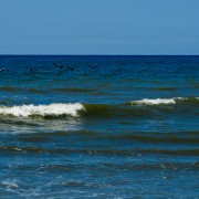 IMG 7775