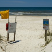 IMG 7780