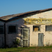 IMG 7808