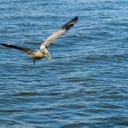 IMG 7816