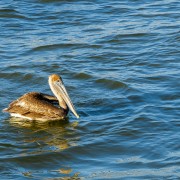 IMG 7817