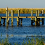 IMG 7834