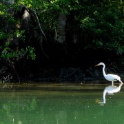 IMG 7875