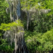 IMG 7983