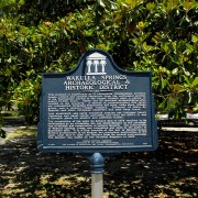 IMG 8029