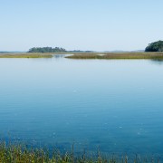 IMG 8117