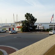 IMG 8231