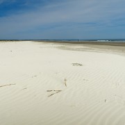 IMG 8309