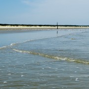 IMG 8312