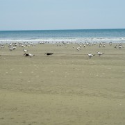 IMG 8317