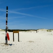 IMG 8323