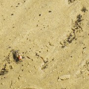 IMG 8358