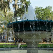 IMG 8442