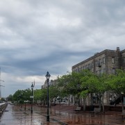 IMG 8485